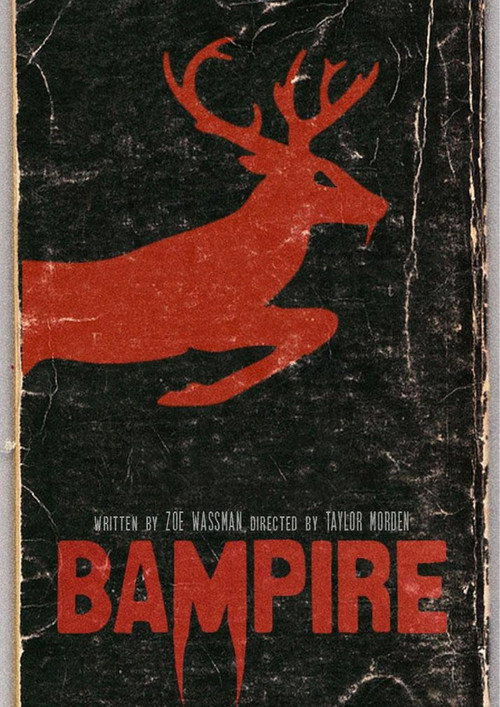 Постер фильма «Bampire»