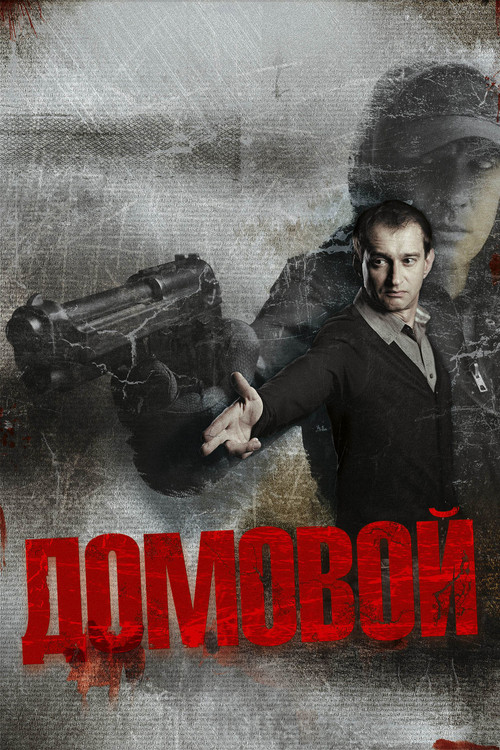 Постер фильма «Домовой»