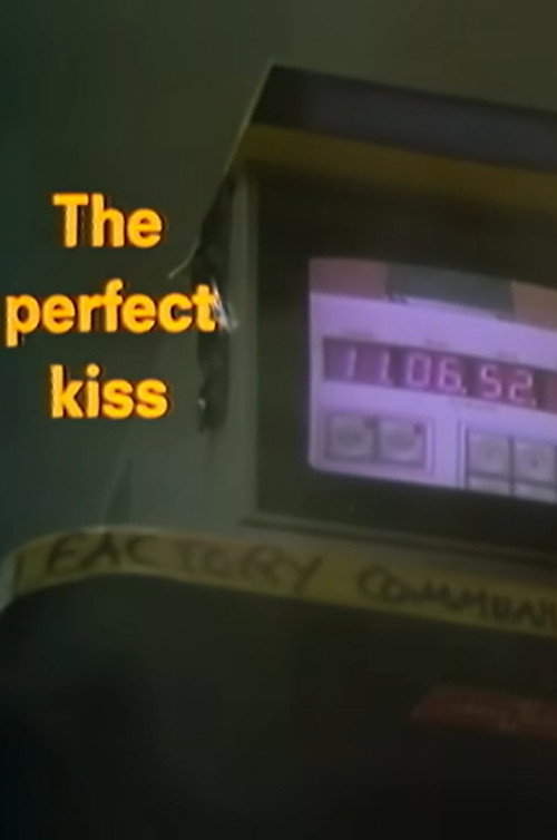 Постер фильма «The Perfect Kiss»
