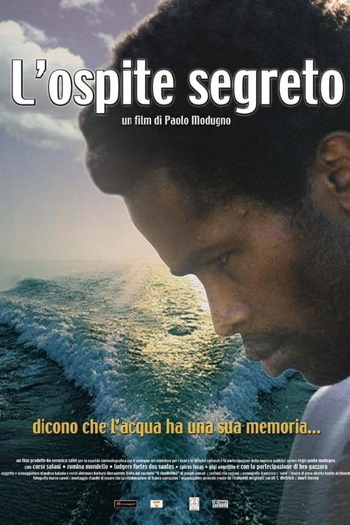 Постер фильма «L'ospite segreto»