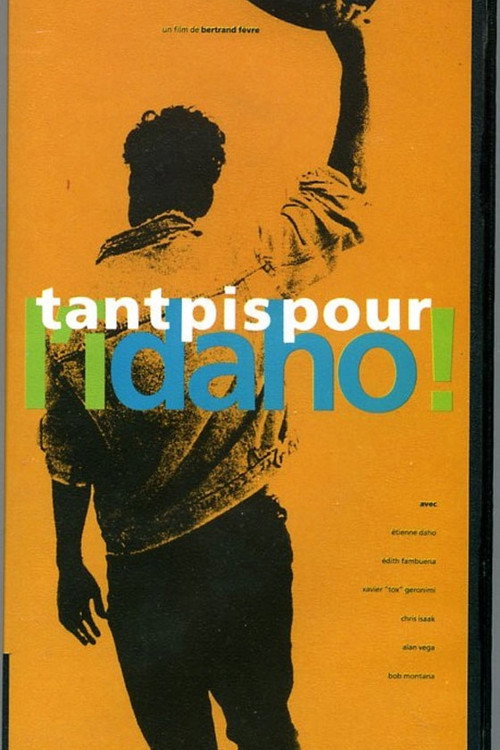 Постер фильма «Tant pis pour l’Idaho !»