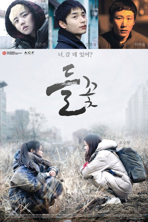 Постер фильма «들꽃»