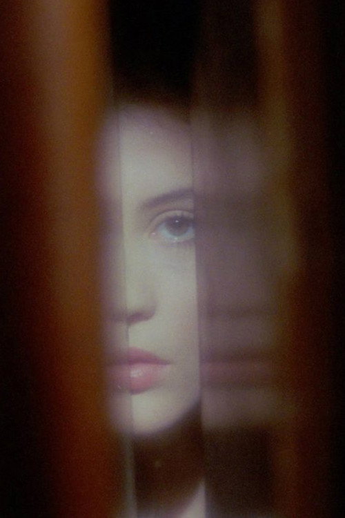 Постер фильма «Phantasmagoria of the Interior»