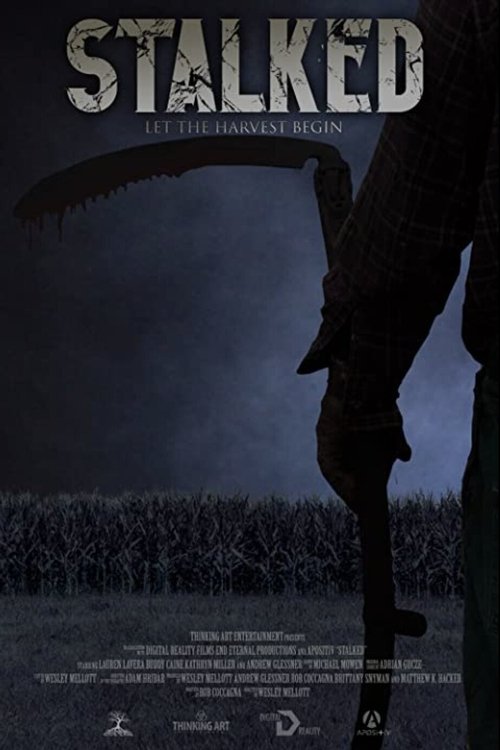 Постер фильма «Stalked»