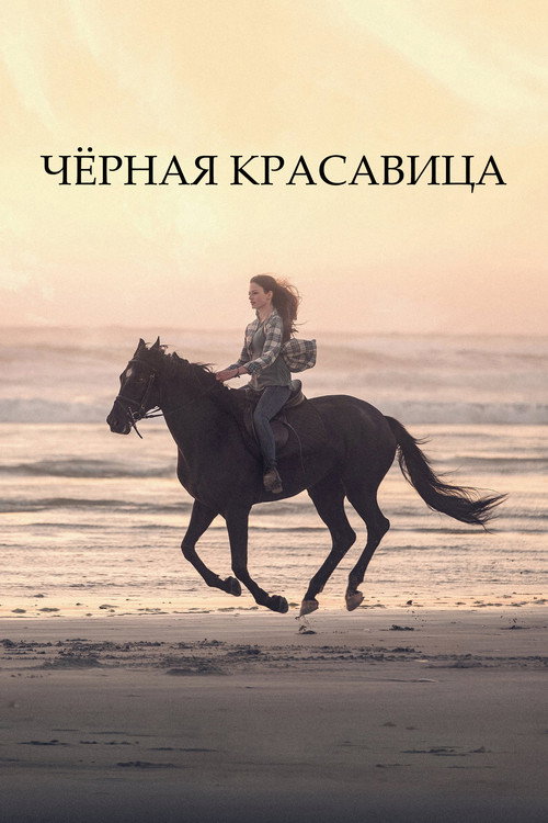 Постер фильма «Чёрная красавица»