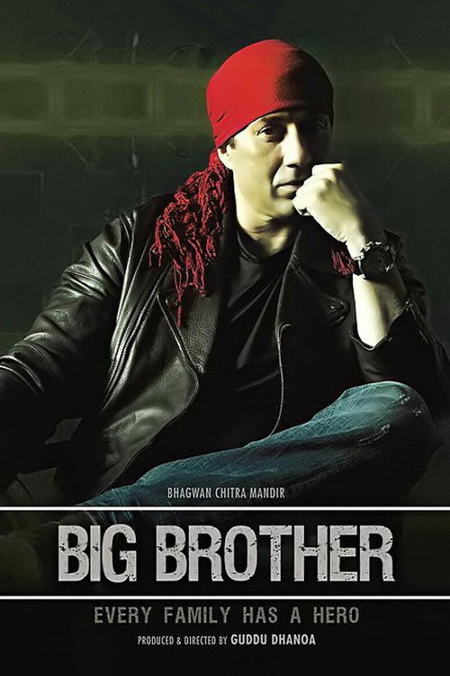 Постер фильма «Big Brother»