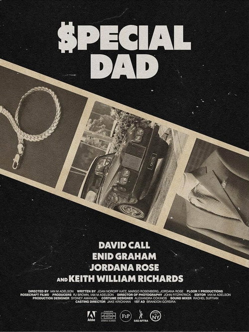 Постер фильма «Special Dad»
