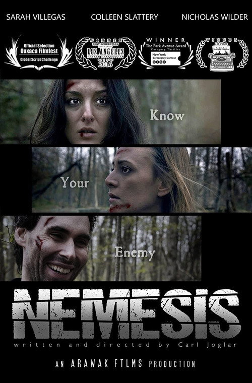 Постер фильма «Nemesis»