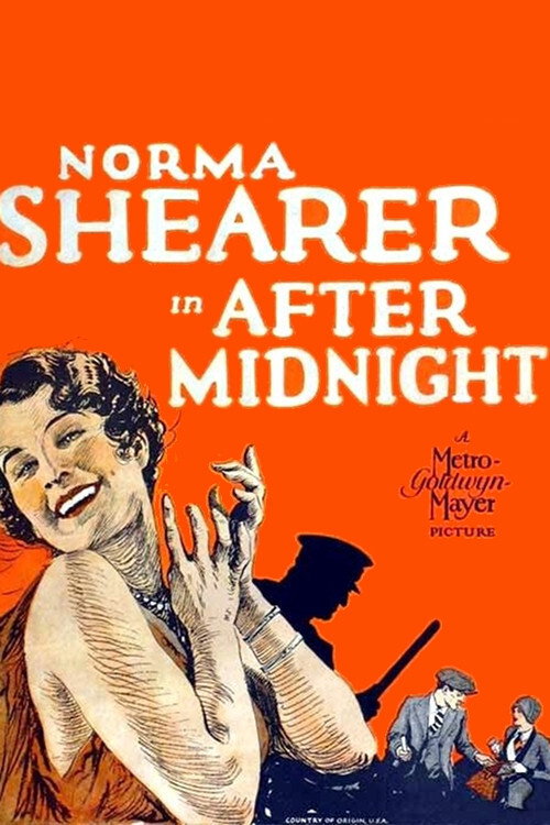 Постер фильма «After Midnight»