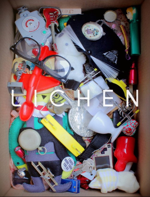 Постер фильма «Lichen»