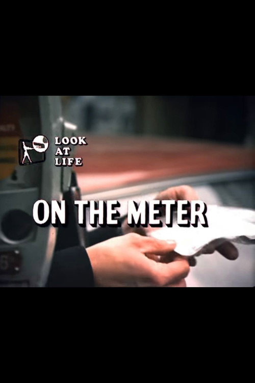 Постер фильма «Look at Life: On the Meter»