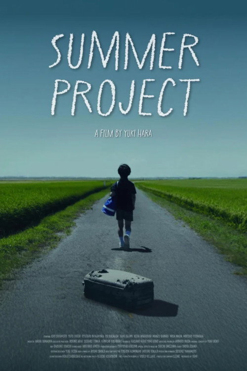 Постер фильма «Summer Project»