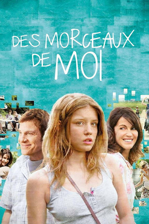 Постер фильма «Des morceaux de moi»