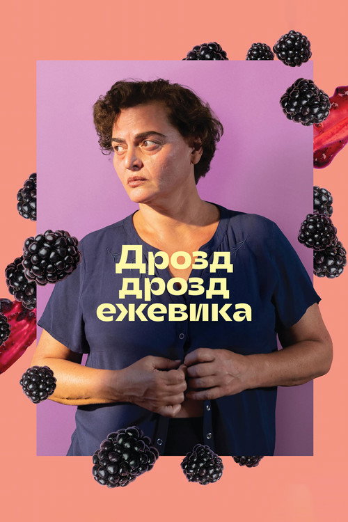 Постер фильма «Дрозд дрозд ежевика»