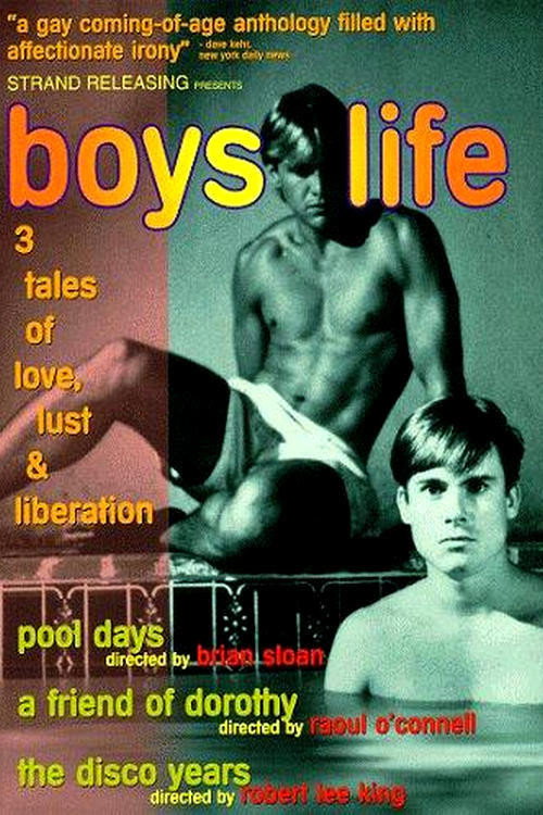 Постер фильма «Boys Life»