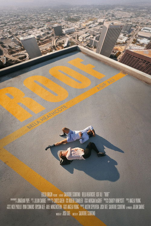 Постер фильма «Roof»