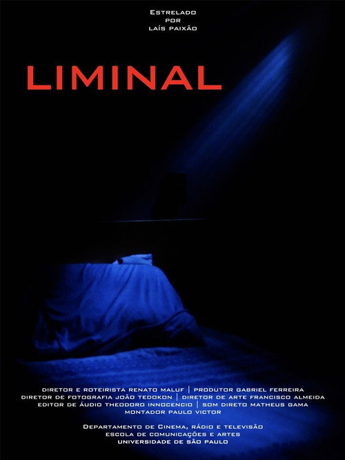 Постер фильма «Liminal»