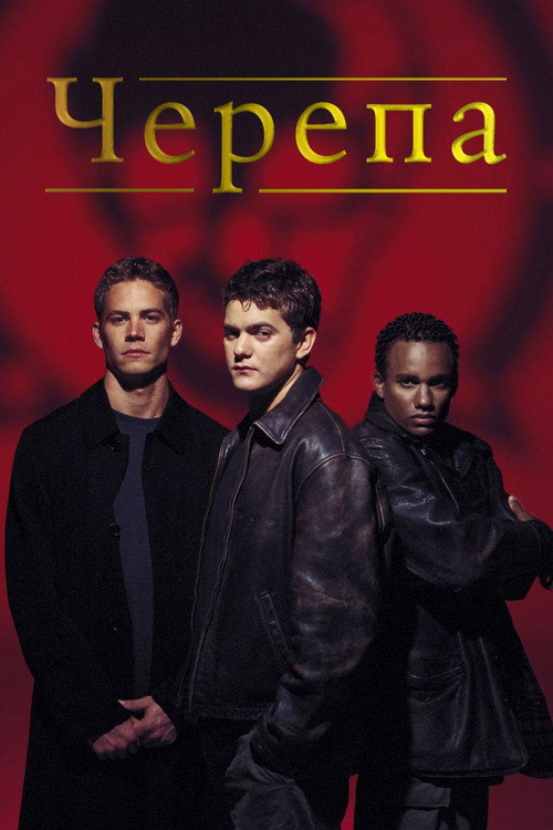 Постер фильма «Черепа»