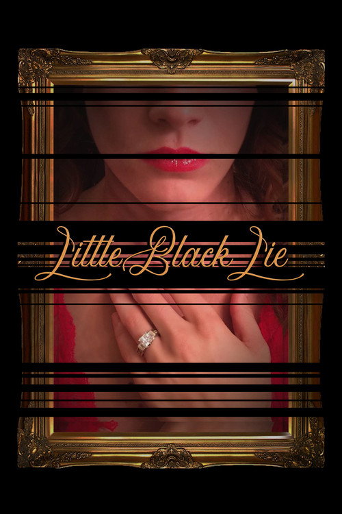 Постер фильма «Little Black Lie»