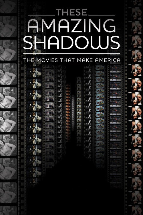 Постер фильма «These Amazing Shadows»