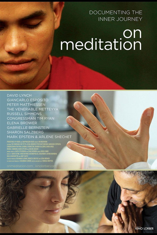 Постер фильма «On Meditation»