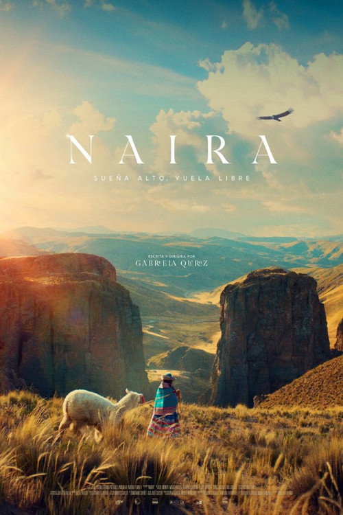 Постер фильма «Naira»