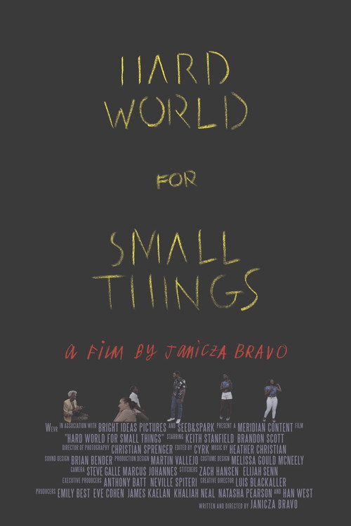 Постер фильма «Hard World for Small Things»