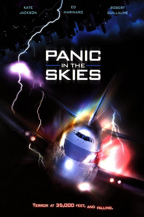 Постер фильма «Panic in the Skies!»