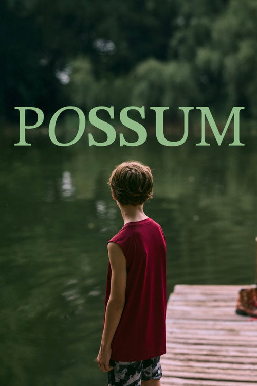 Постер фильма «Possum»