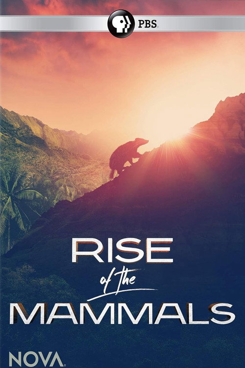 Постер фильма «Rise of the Mammals»
