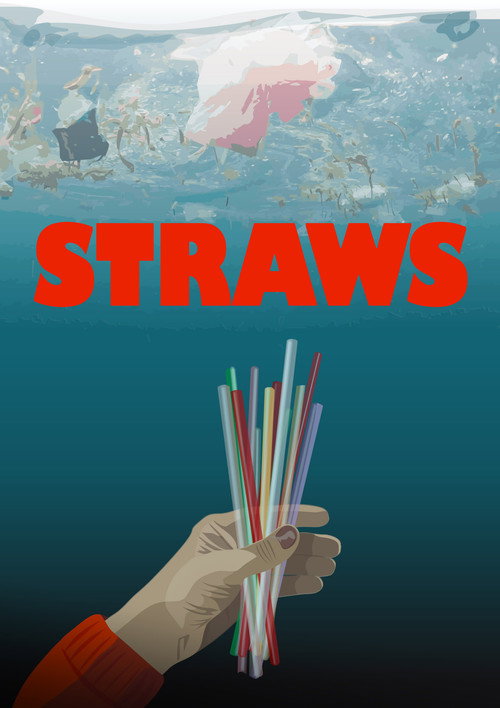 Постер фильма «Straws»