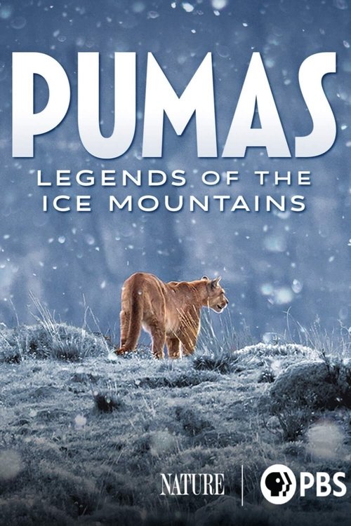 Постер фильма «Pumas: Legends of the Ice Mountains»