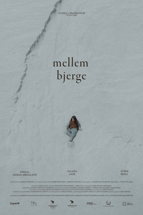 Постер фильма «Mellem Bjerge»