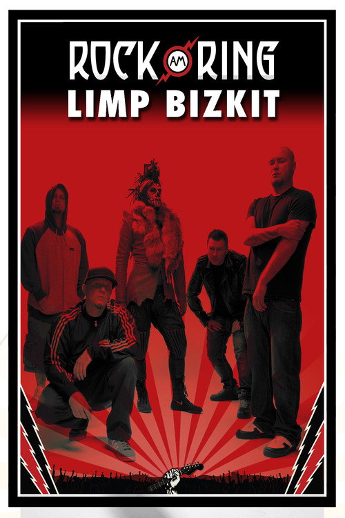 Постер фильма «Limp Bizkit - Live at Rock am Ring»