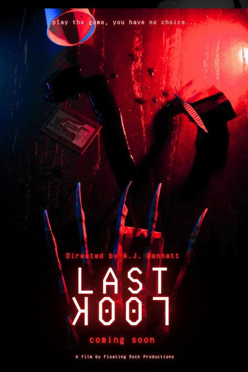 Постер фильма «Last Look»