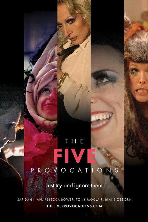 Постер фильма «The Five Provocations»