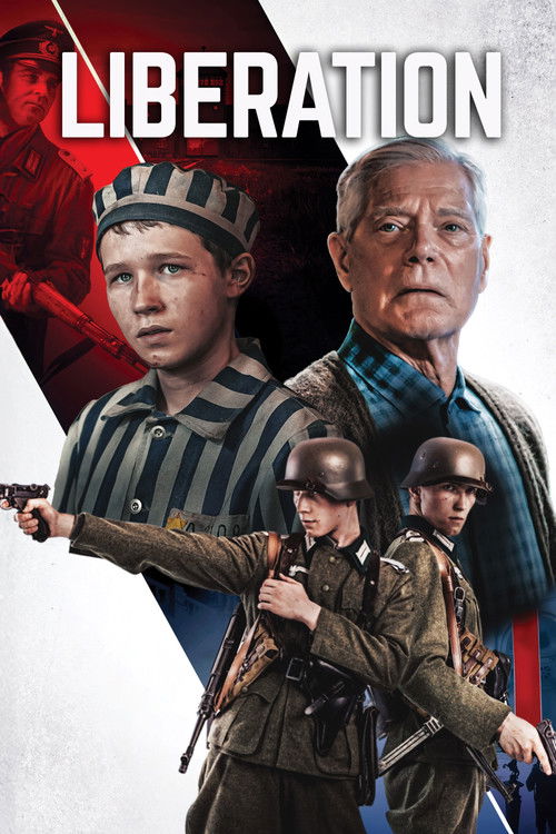 Постер фильма «Освобождение»