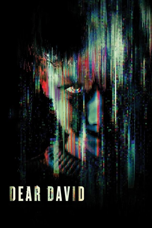 Постер фильма «Dear David»