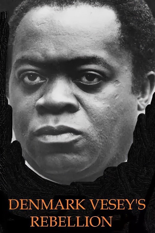 Постер фильма «A House Divided: Denmark Vesey's Rebellion»