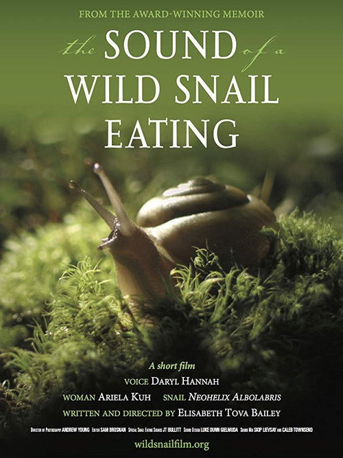 Постер фильма «The Sound of a Wild Snail Eating»