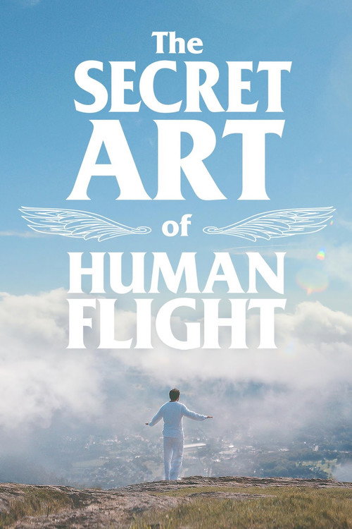 Постер фильма «Тайное искусство человеческого полёта»