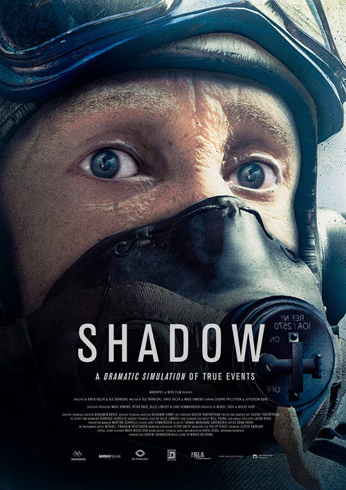 Постер фильма «Shadow»