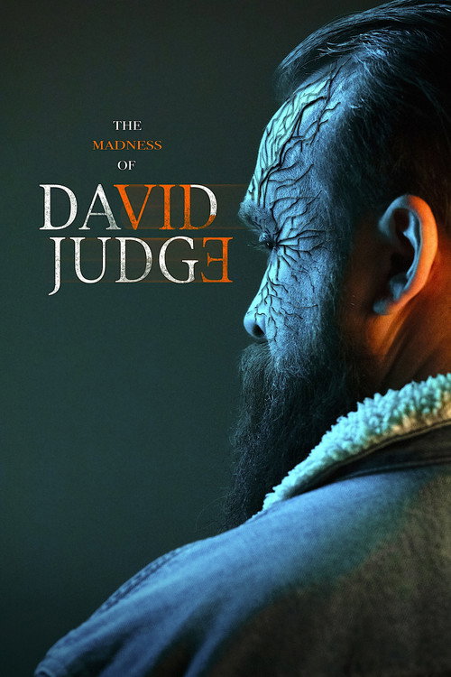 Постер фильма «The Madness of David Judge»
