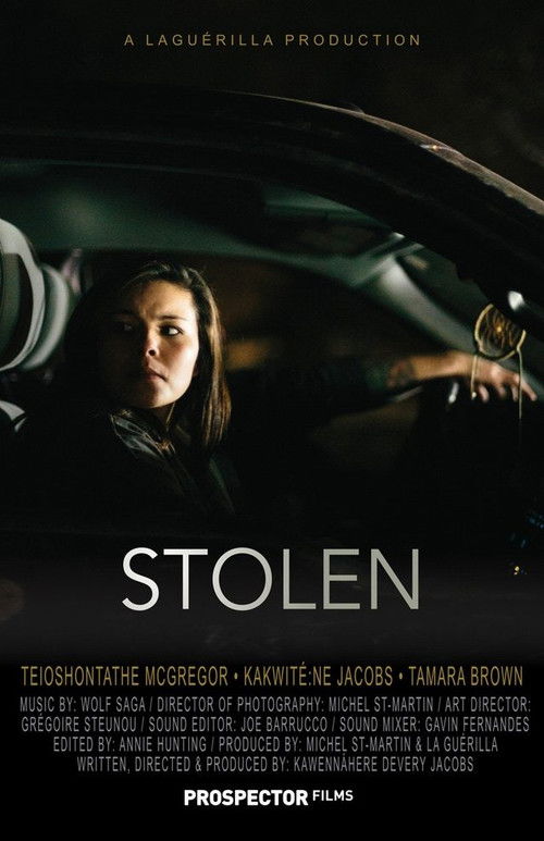 Постер фильма «Stolen»