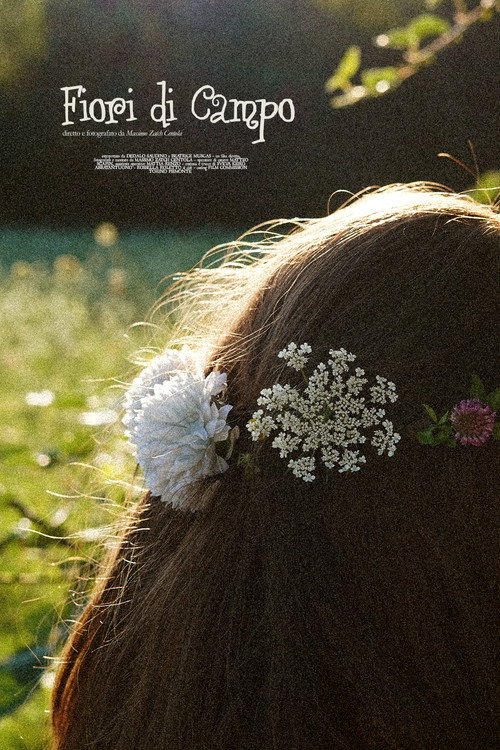 Постер фильма «Fiori di Campo»