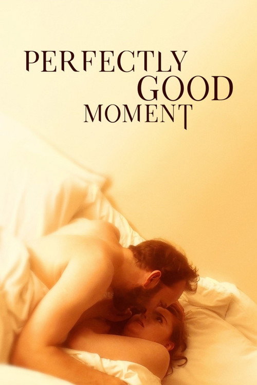 Постер фильма «Perfectly Good Moment»
