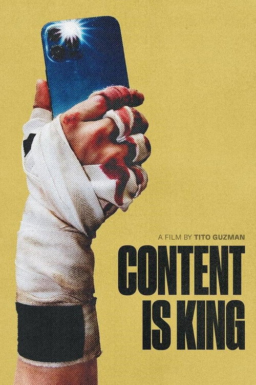 Постер фильма «Content is King»