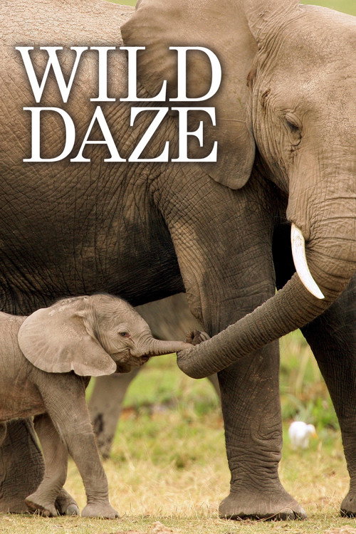 Постер фильма «Wild Daze»