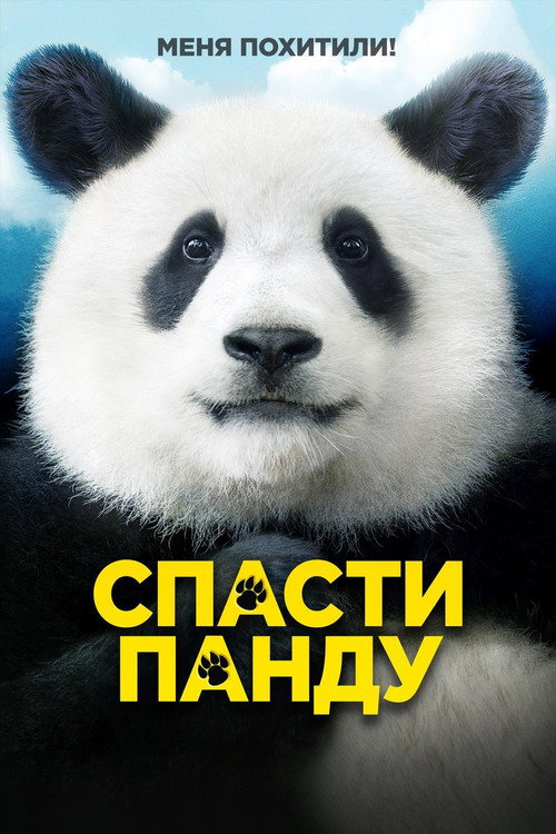 Постер фильма «Спасти панду»