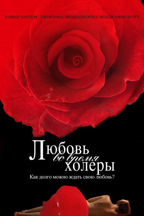Постер фильма «Любовь во время холеры»